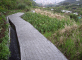 Yangming Mountain pathway 2009 (install and photo)