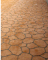 Shanghai Industrial Park China 2009 (install and photo)